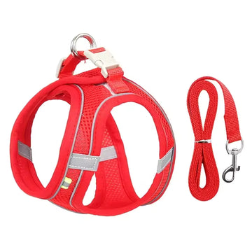 Best Puppy Harness For Safe, Comfortable, No-Pull Training