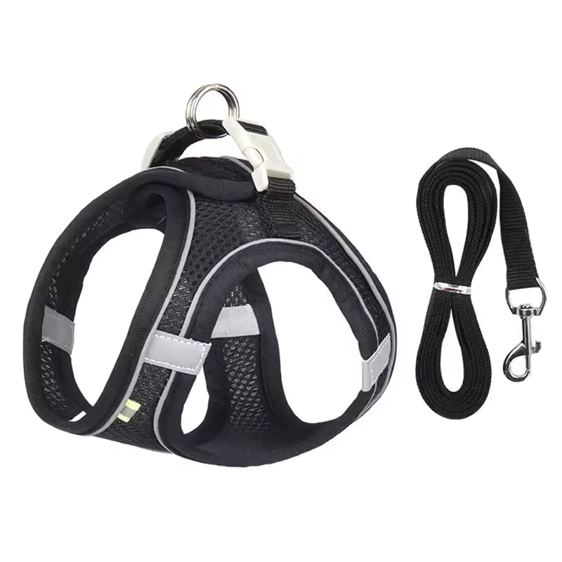 Best Puppy Harness For Safe, Comfortable, No-Pull Training