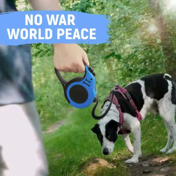 Retractable Dog Leash 3M/5M Nylon Lead For Small Dogs Cats Walking